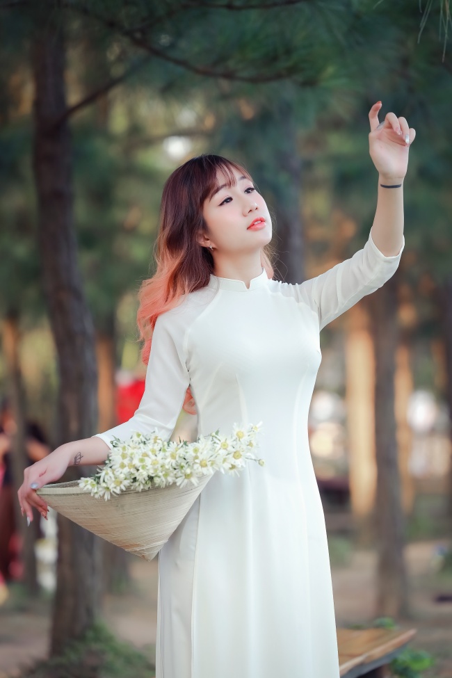天鹅绒房间